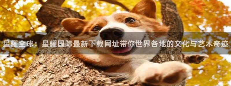 壹号电子娱乐app下载安装