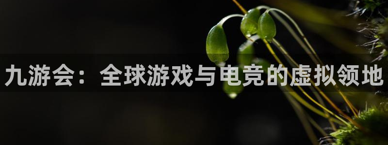 壹号平台下载