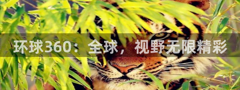 万赢娱乐官方app下载安装