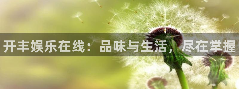 万赢娱乐app下载官网