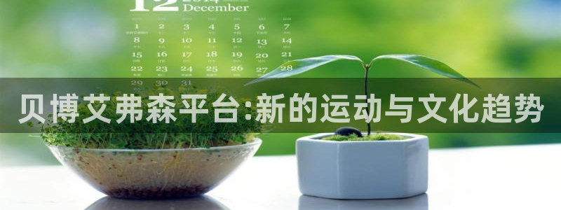 壹号平台下载安装