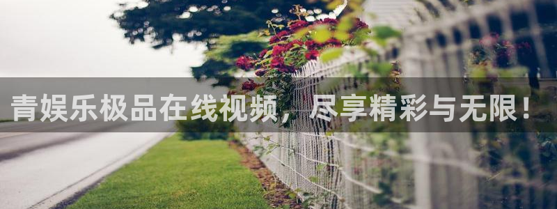 万赢娱乐app官网下载