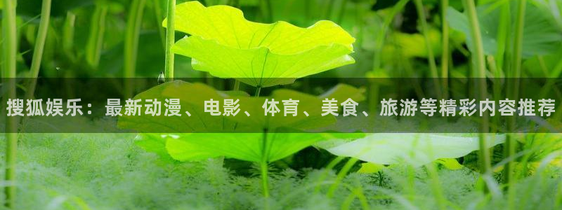 伟德国际集团 壹号(one game)