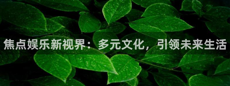 壹号大舞台娱乐传媒