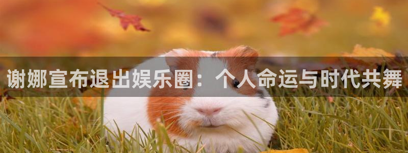 壹号平台下载安装官网