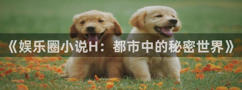 万赢娱乐app最新版怎么下载苹果：《娱乐圈小说H：都市中的秘密世界》