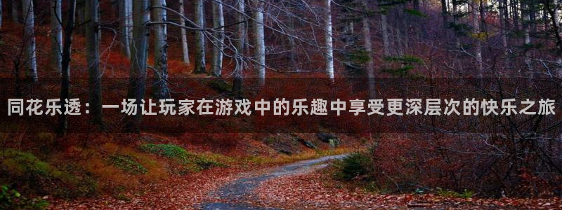 壹号国际app免费下载安装：同花乐透：一场让玩家在游戏中的乐趣中享受更深层次的快乐之旅