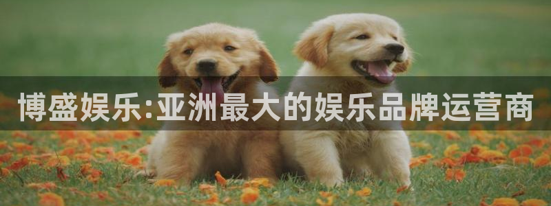 壹号电子娱乐app下载最新版：博盛娱乐:亚洲最大的娱乐品牌运营商