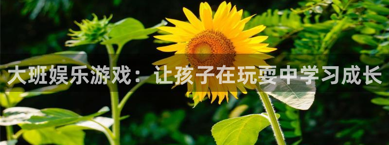 万赢娱乐app官网下载：大班娱乐游戏：让孩子在玩耍中学习成长