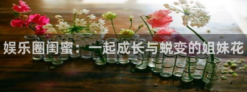 万赢娱乐退款怎么退：娱乐圈闺蜜：一起成长与蜕变的姐妹花
