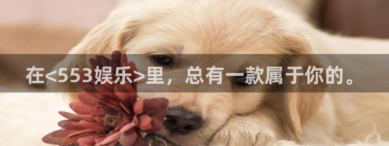 万赢娱乐怎么下载：在<553娱乐>里，总有一款属于你的。