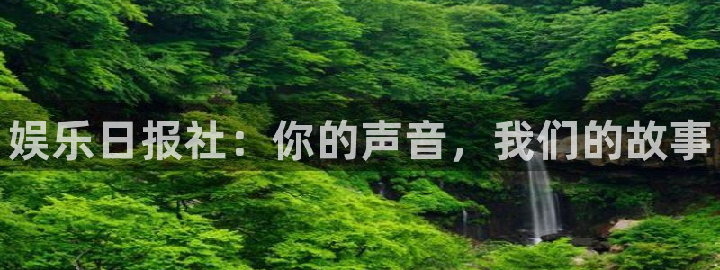 壹号下载安装：娱乐日报社：你的声音，我们的故事
