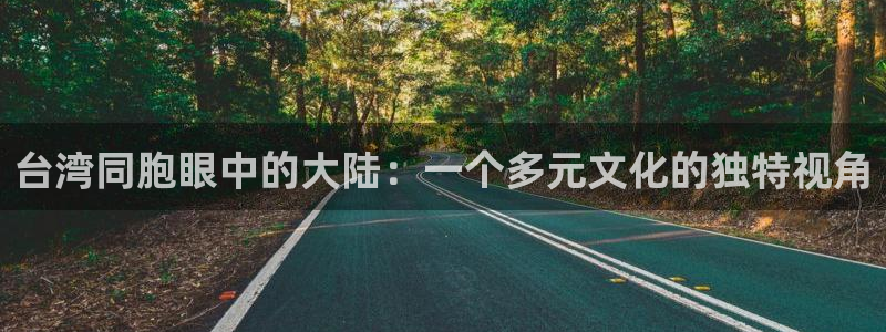 壹号电子娱乐app下载最新版本安装：台湾同胞眼中的大陆：一个多元文化的独特视角
