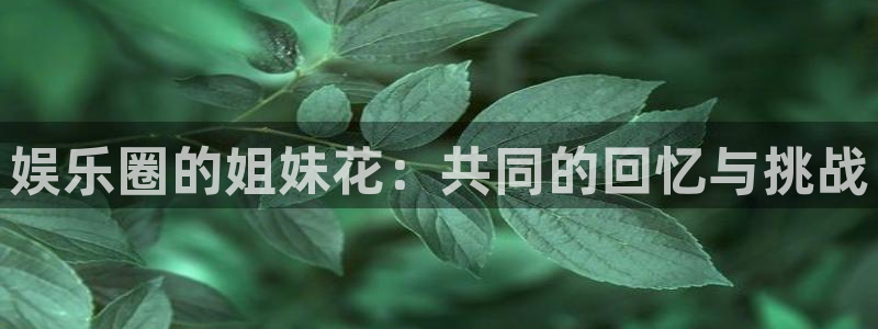 壹号电子娱乐app下载最新版：娱乐圈的姐妹花：共同的回忆与挑战