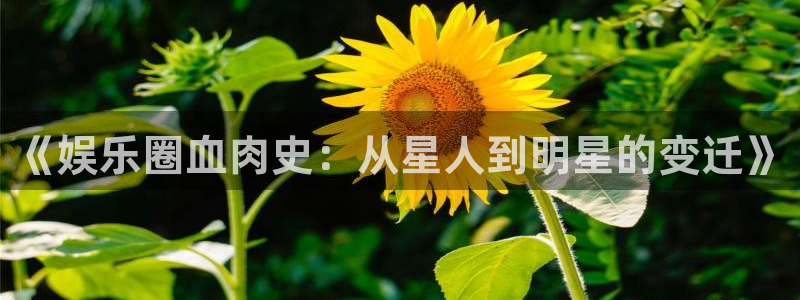 壹号大舞台,有梦你就来：《娱乐圈血肉史：从星人到明星的变迁》