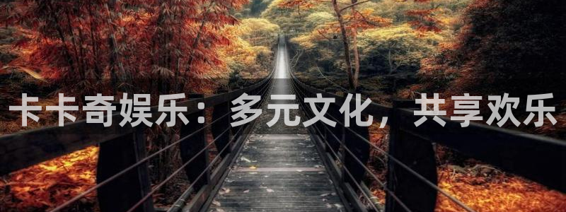 壹号大舞台下载：卡卡奇娱乐：多元文化，共享欢乐