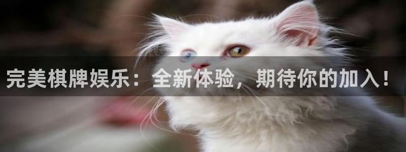 壹号大舞台有梦你就来：完美棋牌娱乐：全新体验，期待你的加入！
