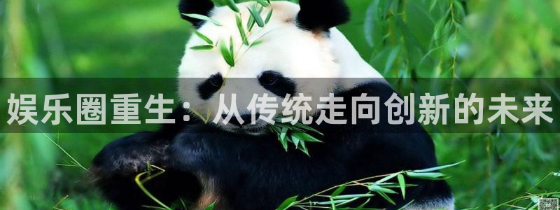 壹号平台下载安装：娱乐圈重生：从传统走向创新的未来