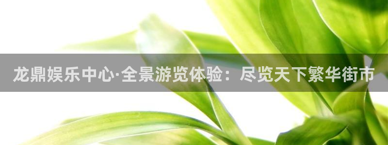 壹号大舞台娱乐传媒：龙鼎娱乐中心·全景游览体验：尽览天下繁华街市