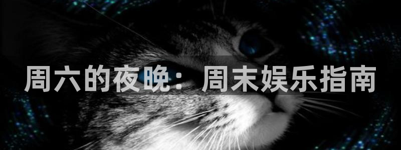 万赢娱乐电子游戏官网：周六的夜晚：周末娱乐指南