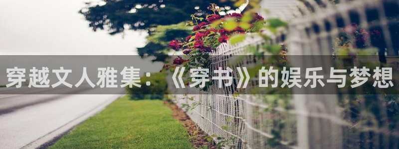 万赢娱乐app下载安装：穿越文人雅集：《穿书》的娱乐与梦想