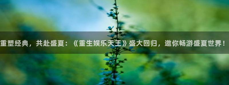 万赢娱乐app下载：重塑经典，共赴盛夏：《重生娱乐天王》盛大回归，邀你畅游盛夏世界！