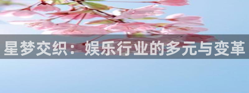 壹号大舞台有梦你就来：星梦交织：娱乐行业的多元与变革