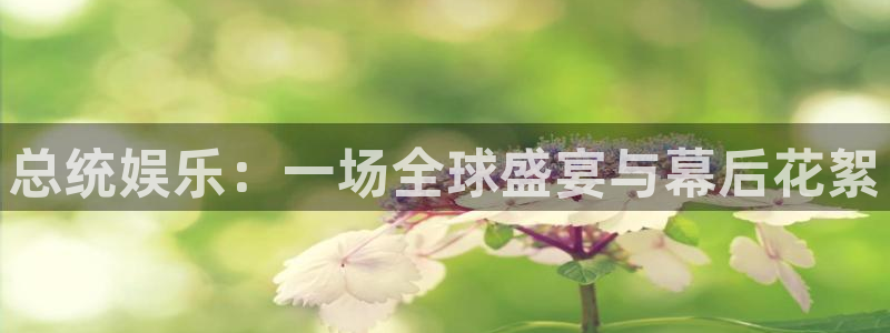 壹号app官网：总统娱乐：一场全球盛宴与幕后花絮