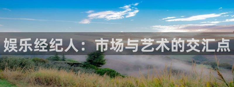 壹号大舞台入口：娱乐经纪人：市场与艺术的交汇点