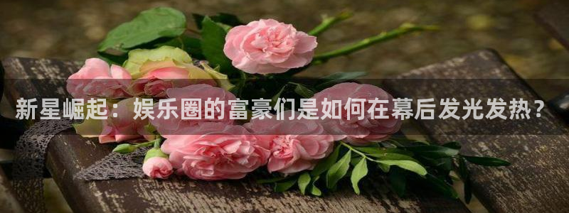 壹号电子娱乐app下载最新版本安装：新星崛起：娱乐圈的富豪们是如何在幕后发光发热？